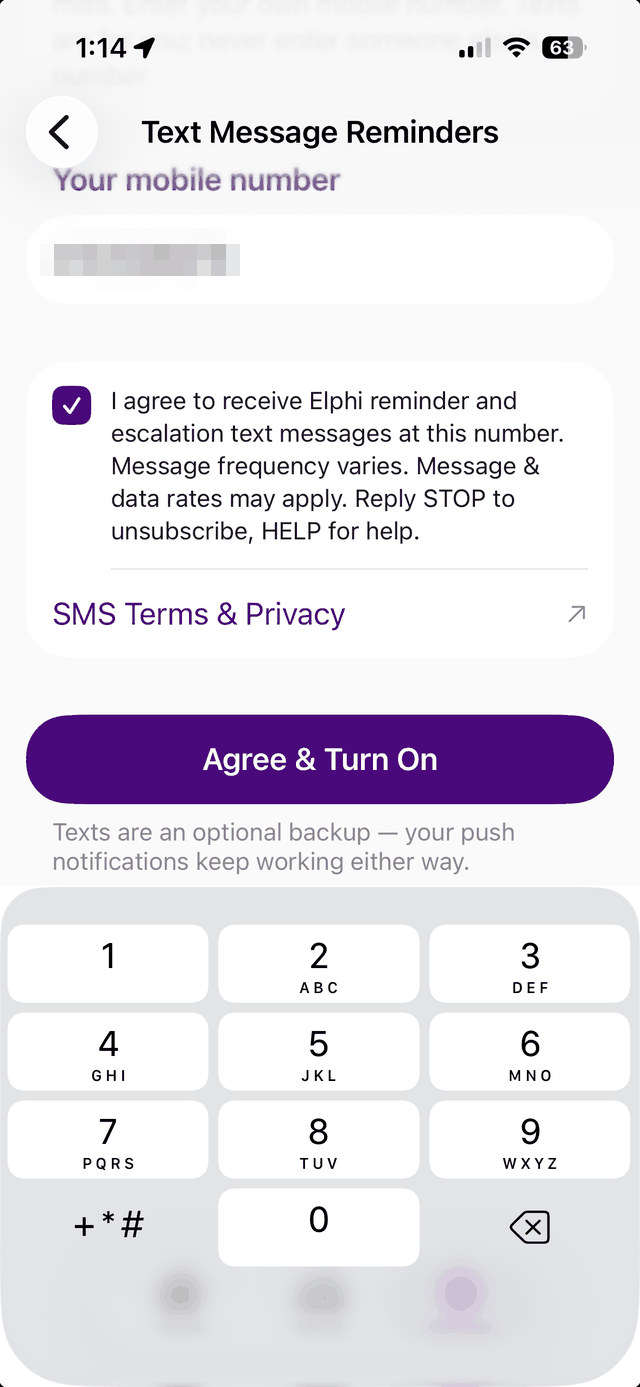 The user has entered their own mobile number and checked the consent box before tapping Agree and Turn On.